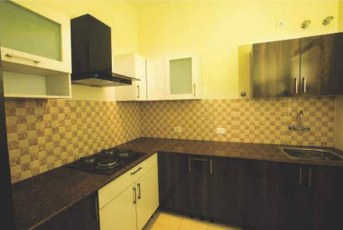 Images for Main Other of Amrapali Adarsh Awas Yojna