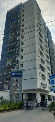  jasmine-springs Elevation