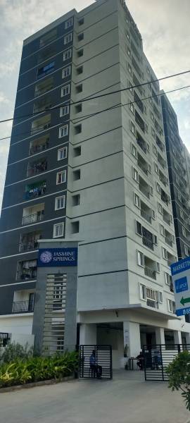  jasmine-springs Elevation