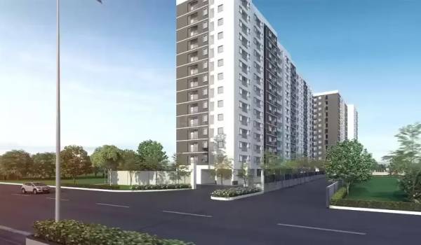  jasmine-springs Images for Project