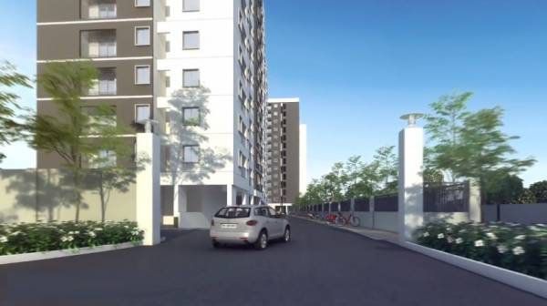  jasmine-springs Others