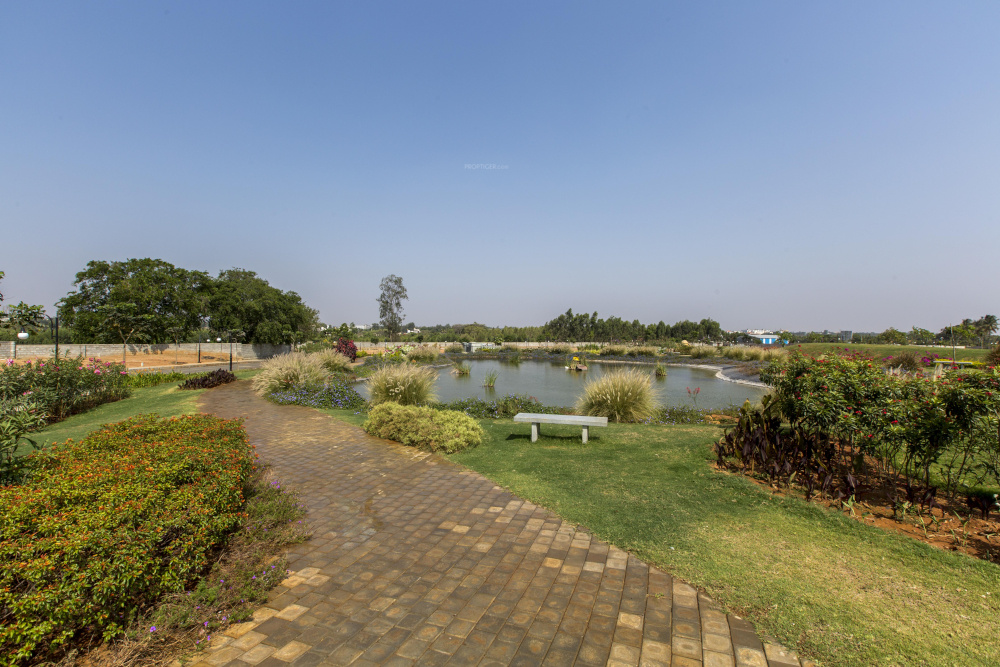  shriline primrose Jogging Track