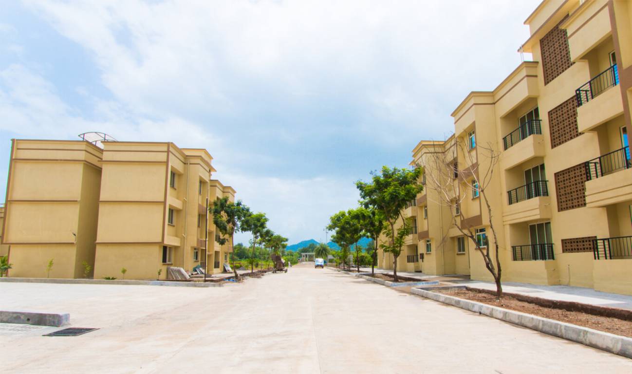 Images for Elevation of Jashnani Aster