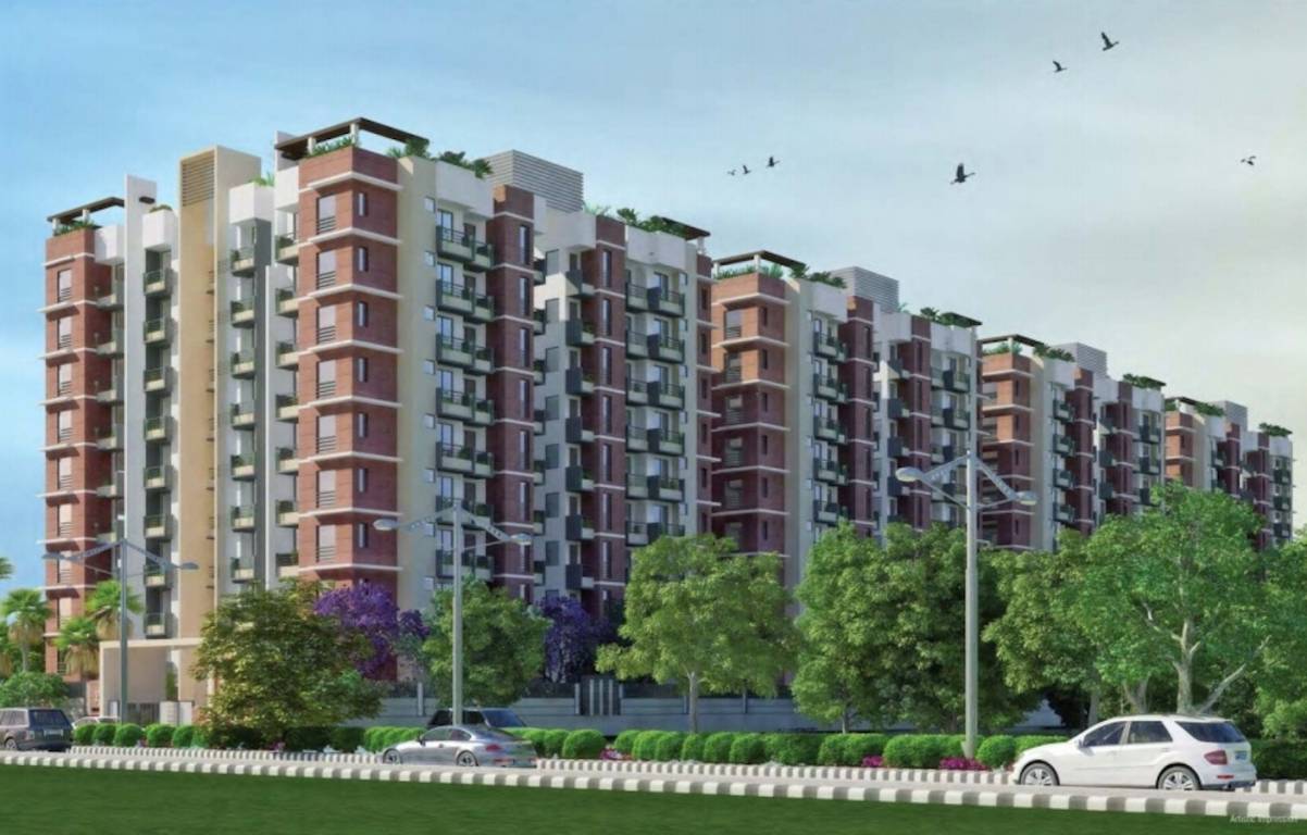  south court Elevation