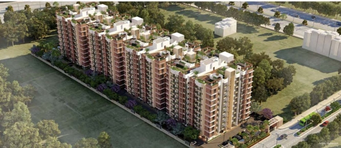  south court Elevation