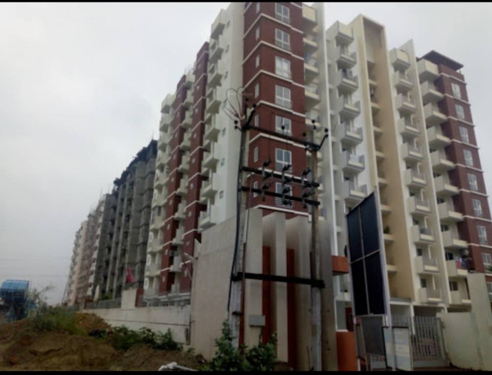  south court Elevation