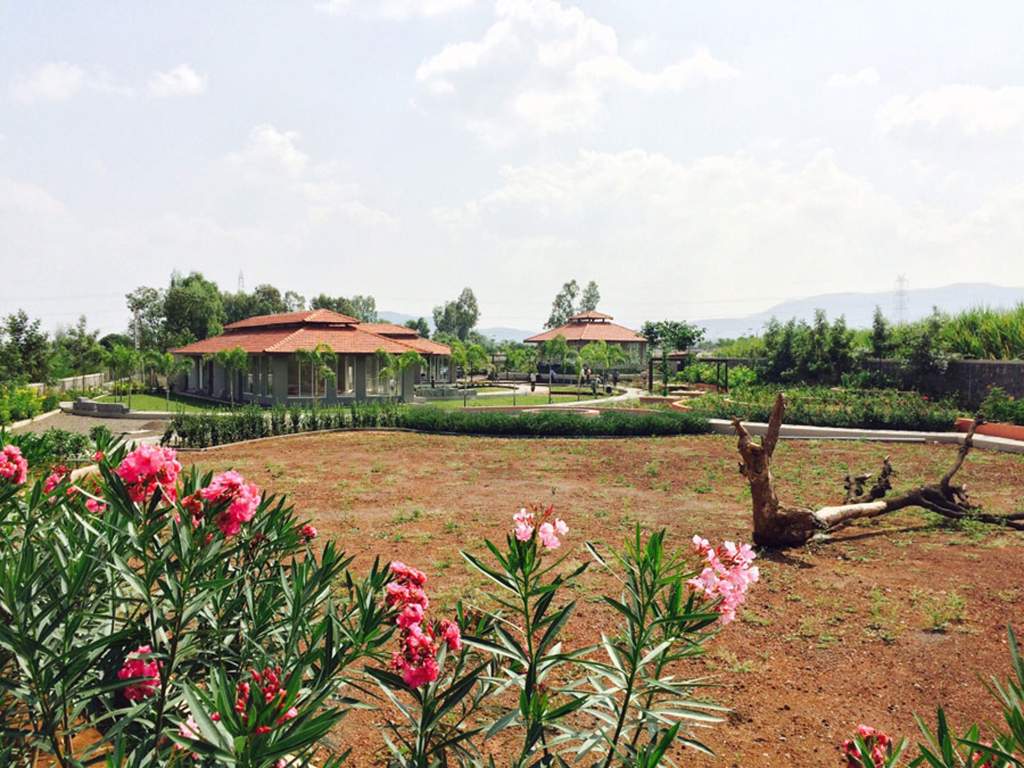 woodwinds Images for Amenities of Alliance Woodwinds