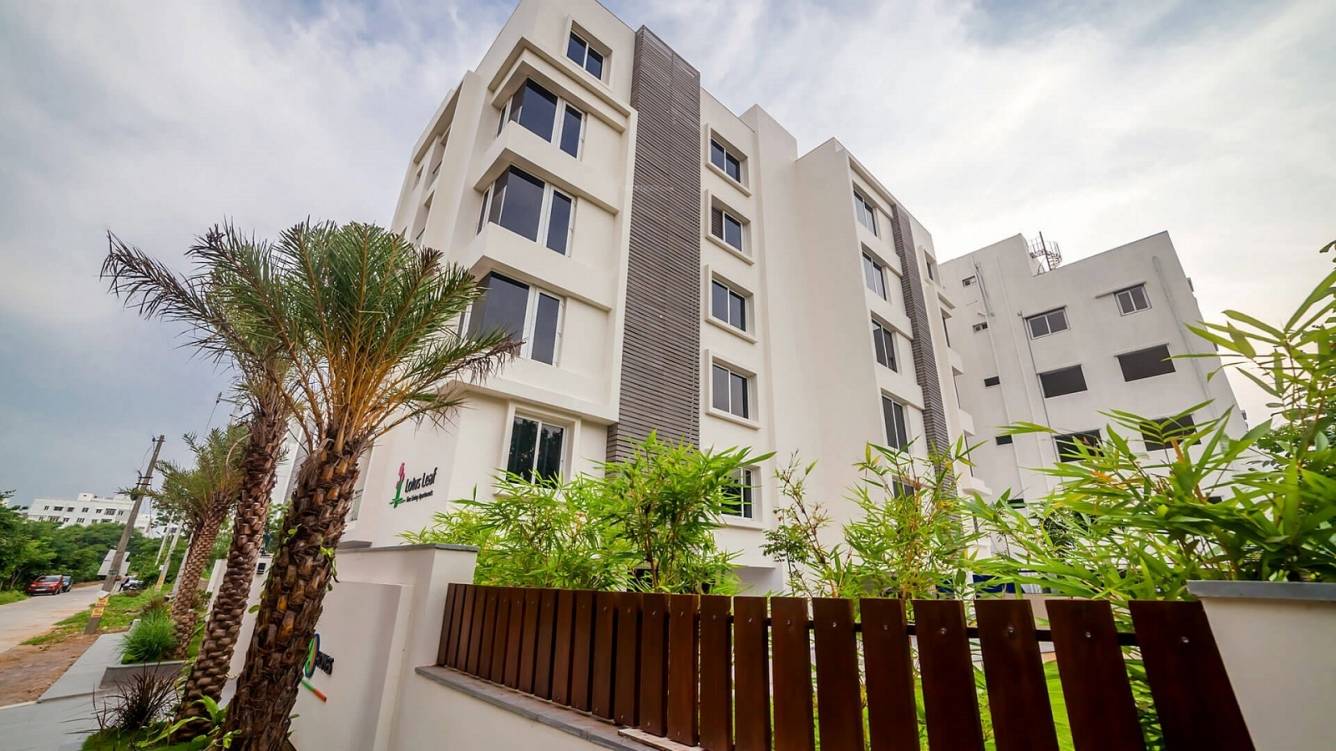 lotus leaf Elevation