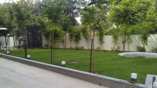  lotus-leaf Landscape Garden and Tree Planting