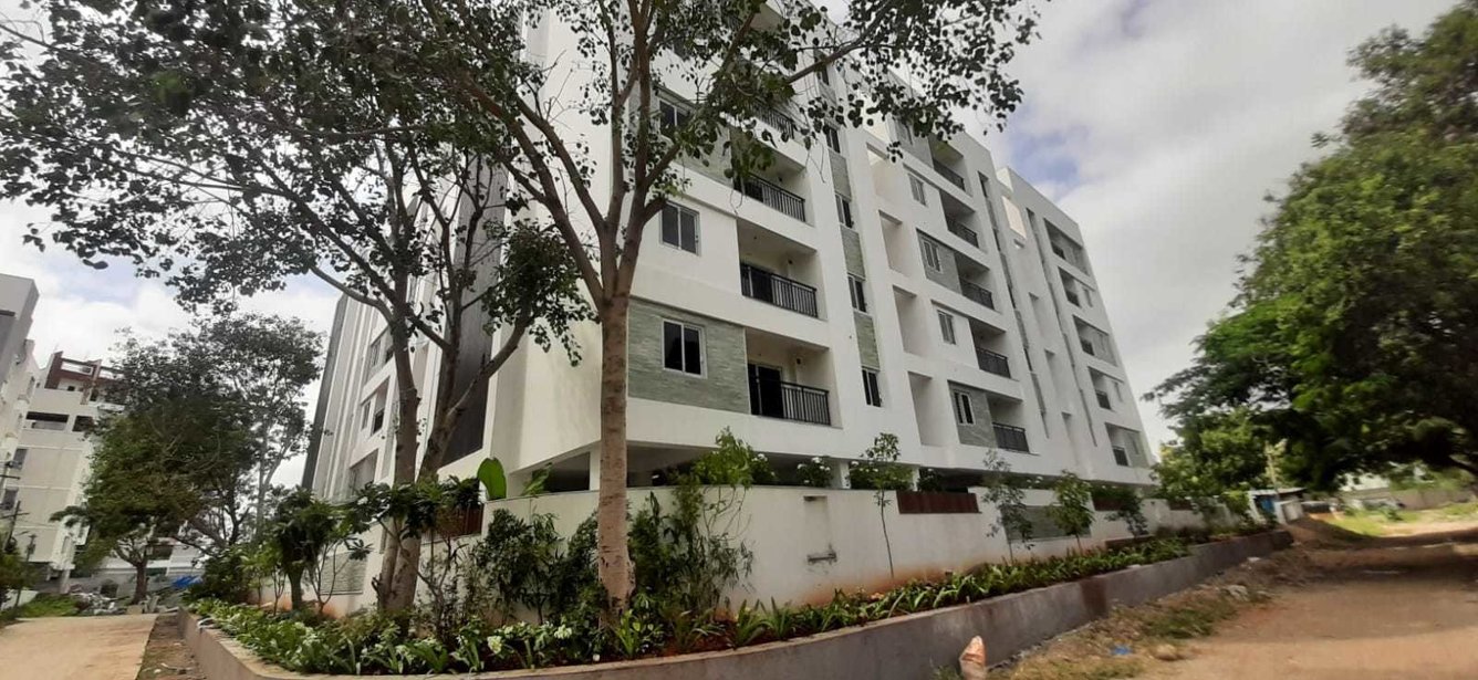 bamboo grove Elevation