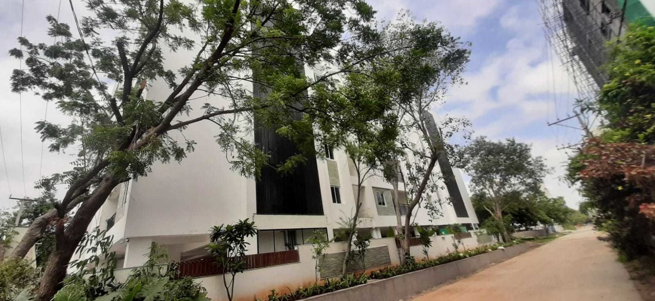 bamboo grove Elevation