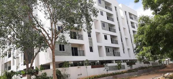  bamboo-grove Elevation