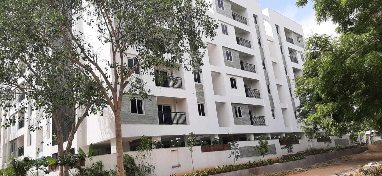 bamboo grove Elevation