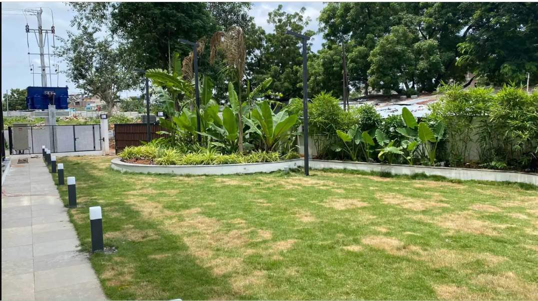 bamboo grove Landscape Garden and Tree Planting