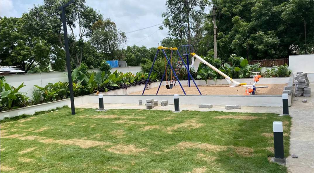 bamboo grove Landscape Garden and Tree Planting