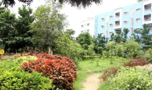  bamboo-grove Landscaped Gardens