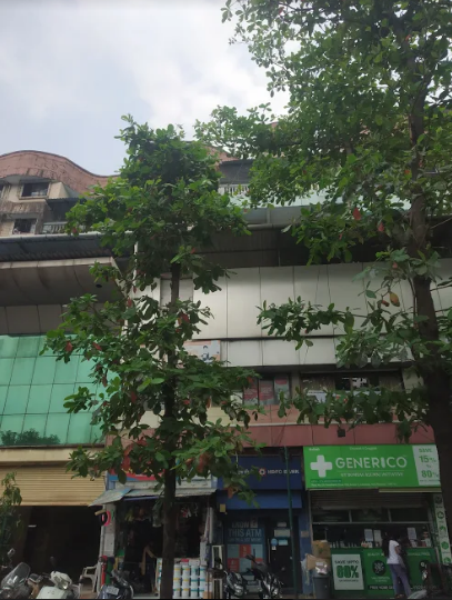 panchavati chs Elevation