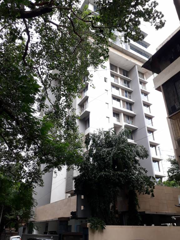  kailash kiran Elevation