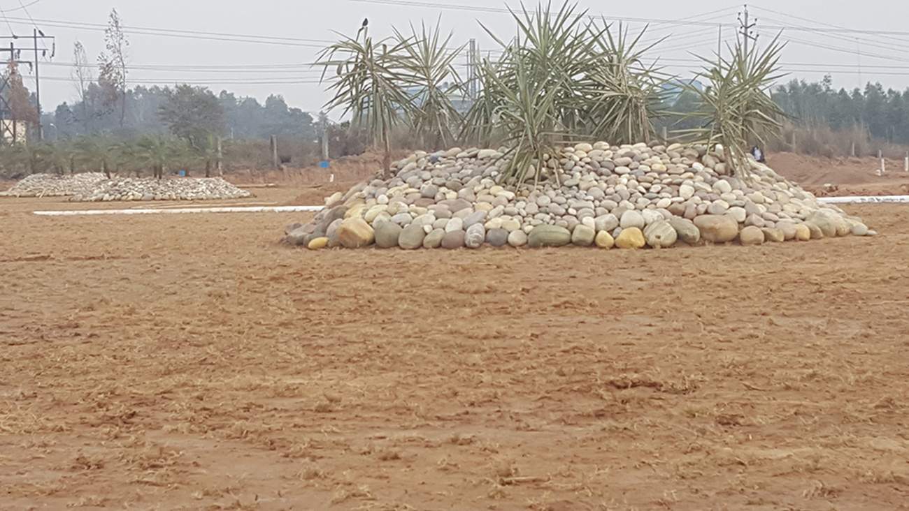  superia Images for Amenities of GBP Superia