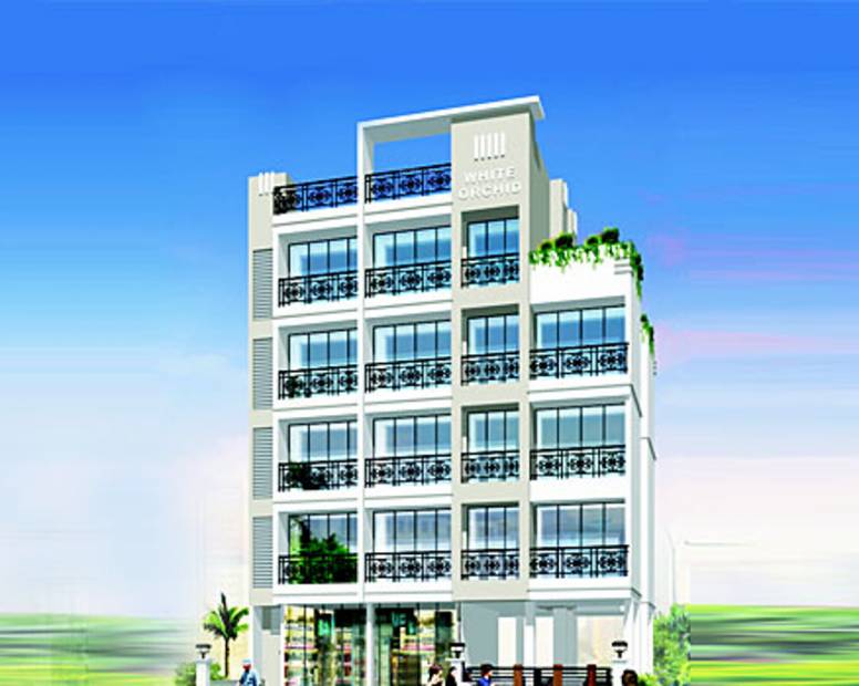 Images for Elevation of SPS White Orchid