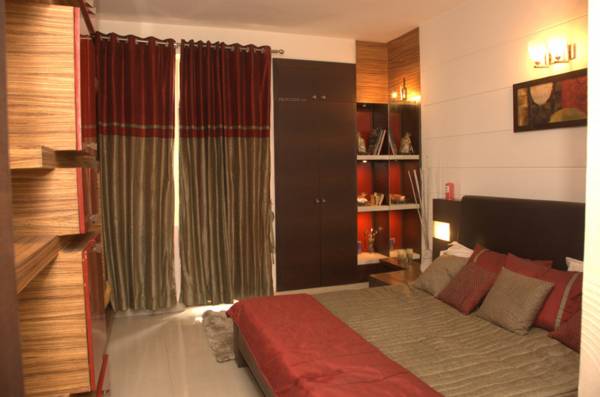 Images for Main Other of Ansal Daffodil Bloom