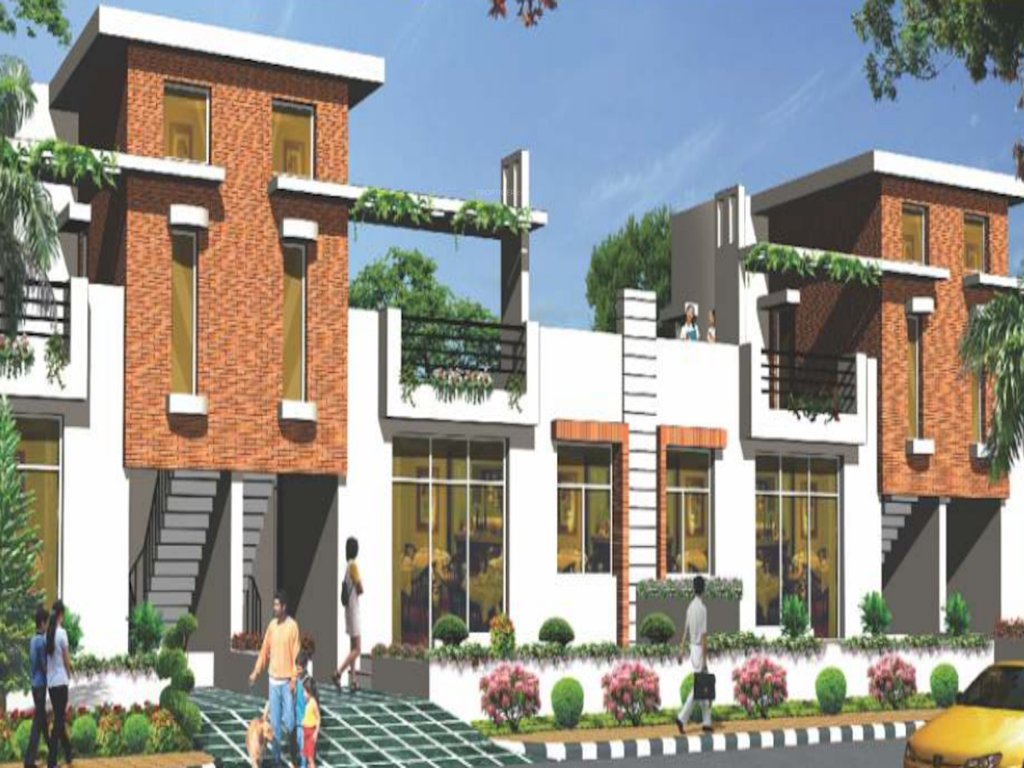  orchid bloom Elevation