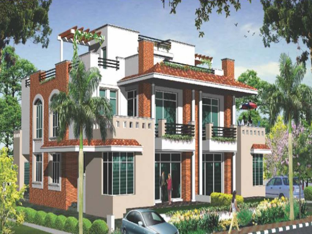  orchid bloom Elevation