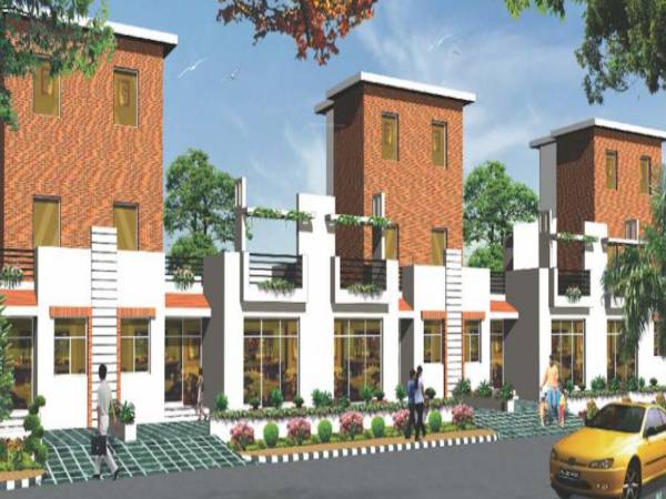 Elevation orchid-bloom Elevation