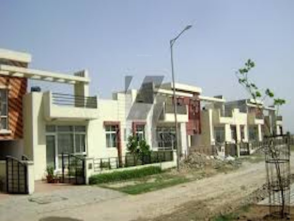  orchid bloom Elevation