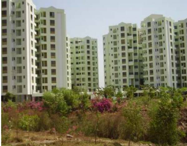  emerald-city Elevation