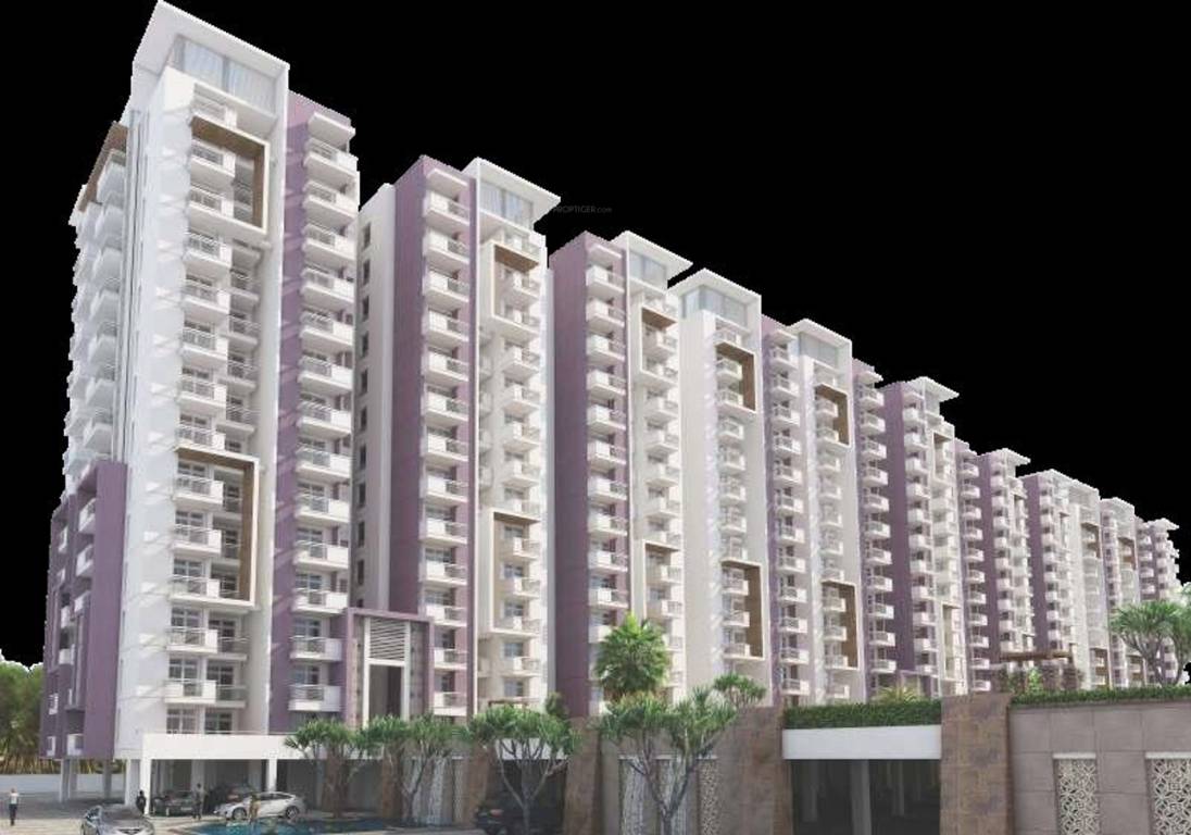 Images for Elevation of Max Max Heights Majestic