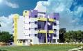 Suryavanshi Realty SK Viola