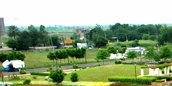 Images for Main Other of ASB Lotus City