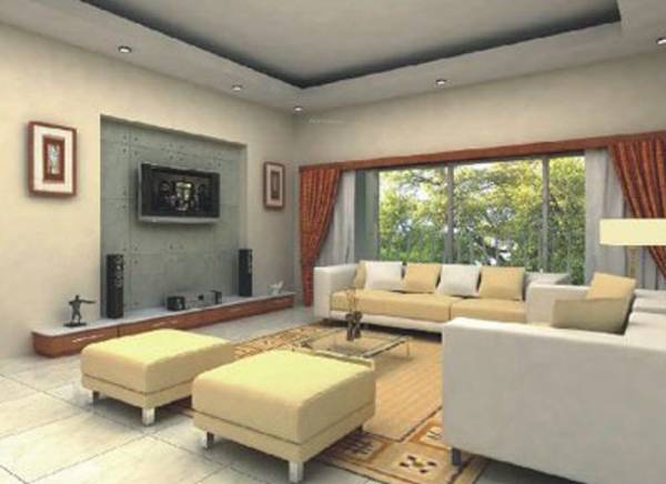 Images for Main Other of Amber Paradise Images for Main Other of Amber Paradise