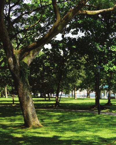 Landscaped Gardens golden-dale Landscaped Gardens