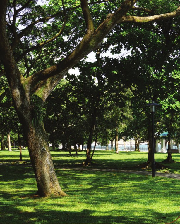  golden dale Landscaped Gardens