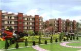 Homes