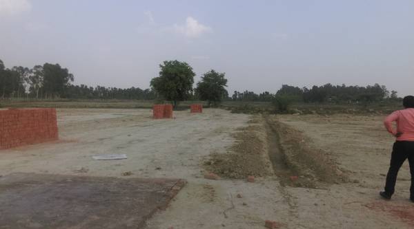 Images for Amenities of Sarva King City Images for Amenities of Sarva King City