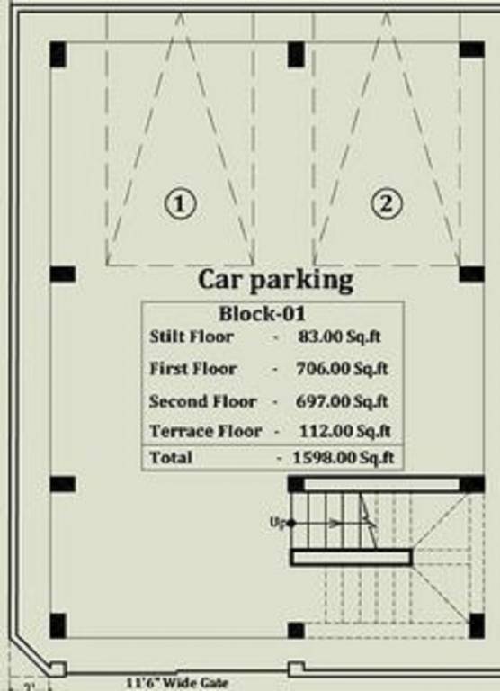  daffodils Cluster Plan