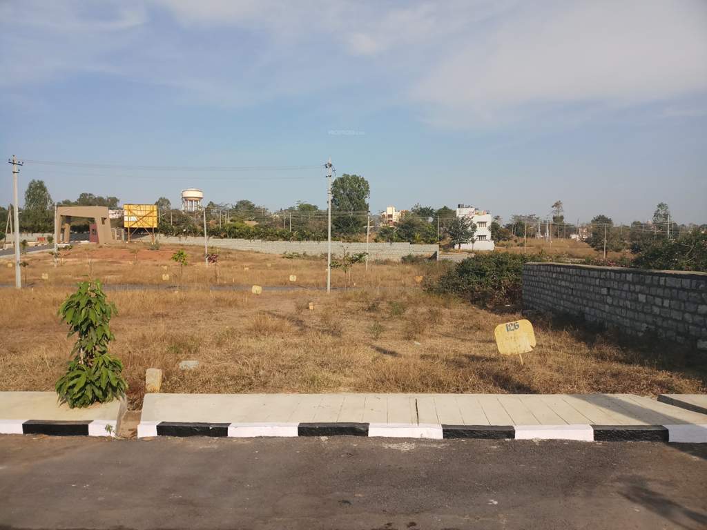  green meadows Images for Main Other of Pride Green Meadows