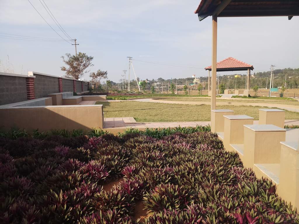  green meadows Images for Main Other of Pride Green Meadows