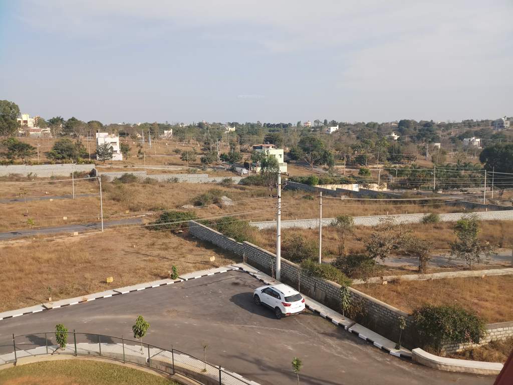  green meadows Images for Main Other of Pride Green Meadows