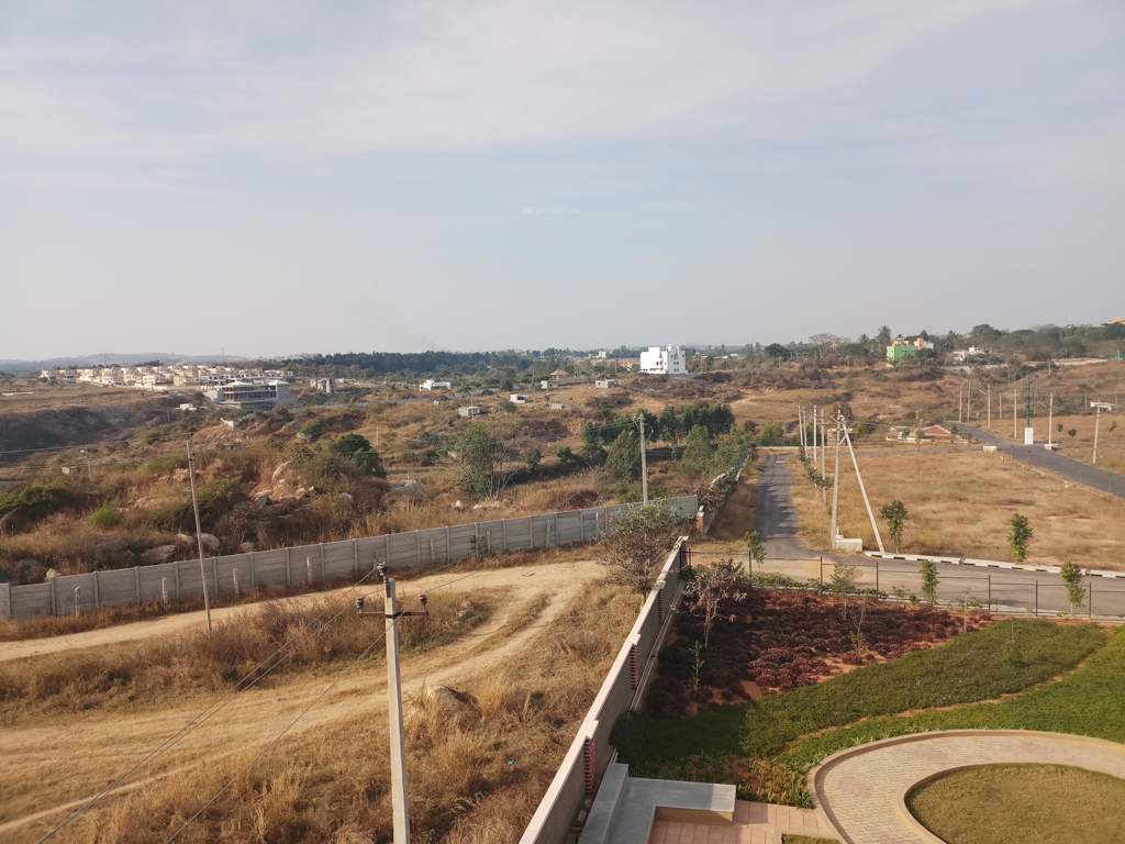  green meadows Images for Main Other of Pride Green Meadows