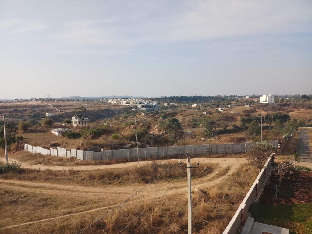  green meadows Images for Main Other of Pride Green Meadows