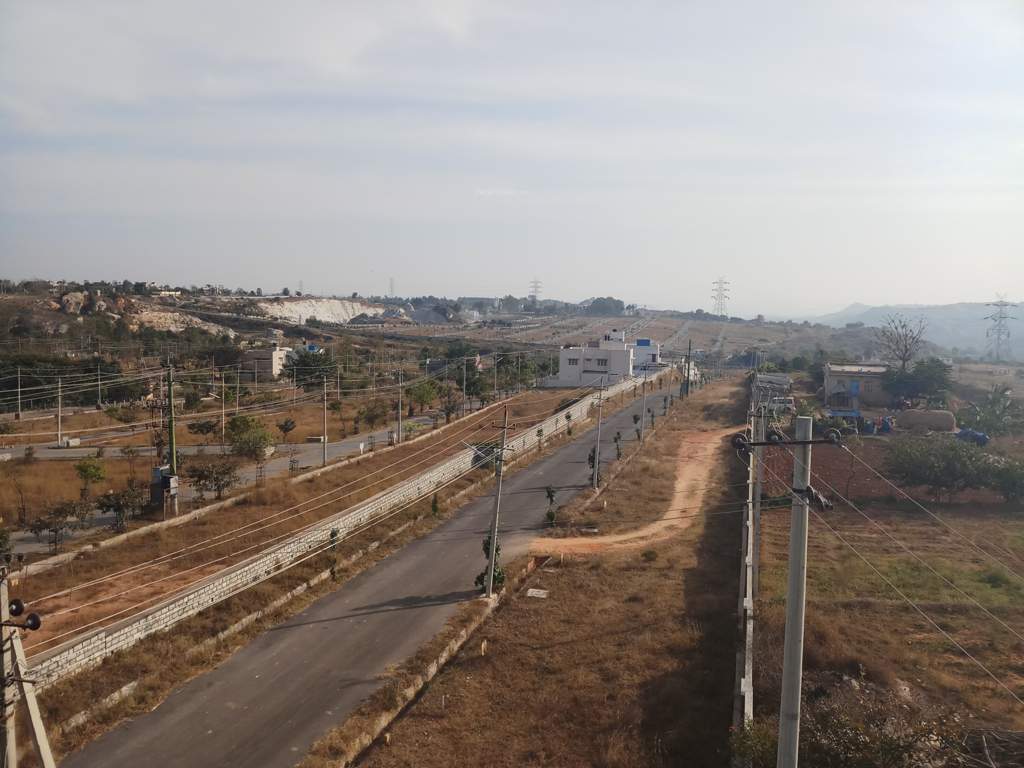  green meadows Images for Main Other of Pride Green Meadows