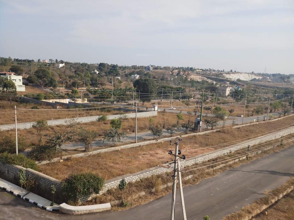  green meadows Images for Main Other of Pride Green Meadows