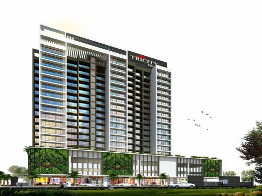 Images for Elevation of Tricity Eros