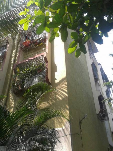 Images for Elevation of Reputed Builder Shreeji Apartment