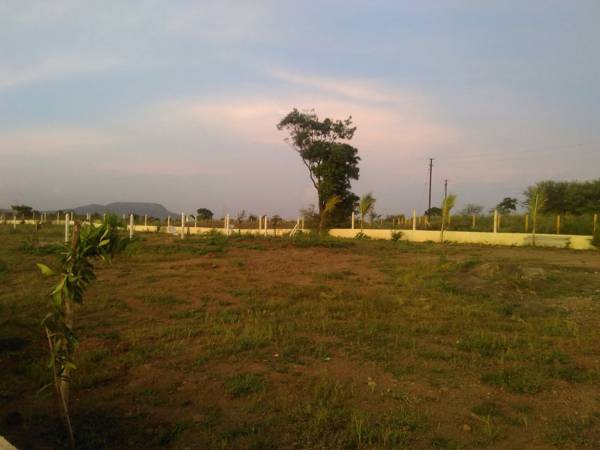  my-fortune-ii Elevation