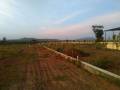 My Land My Pride My Fortune II